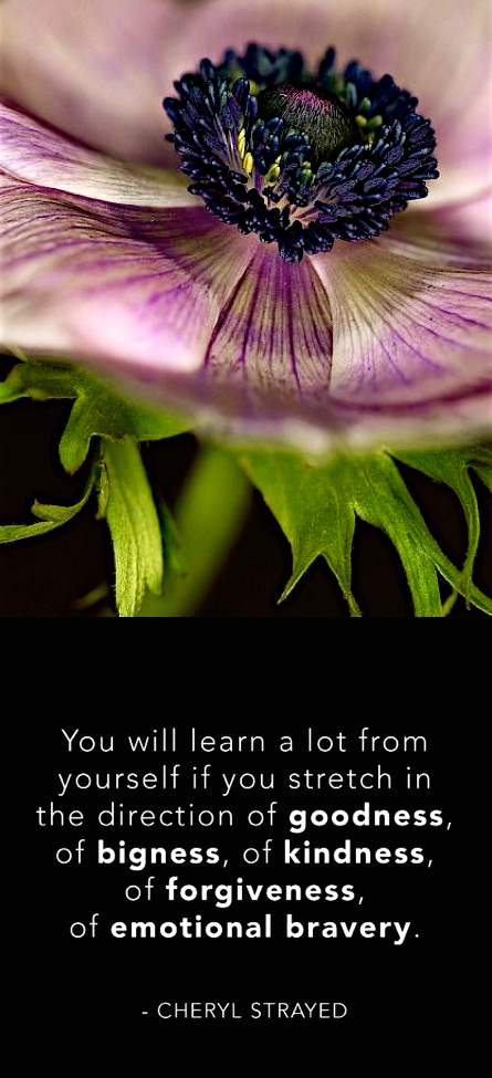 Screen Shot 2016-02-07 at 10.10.59 PM.png