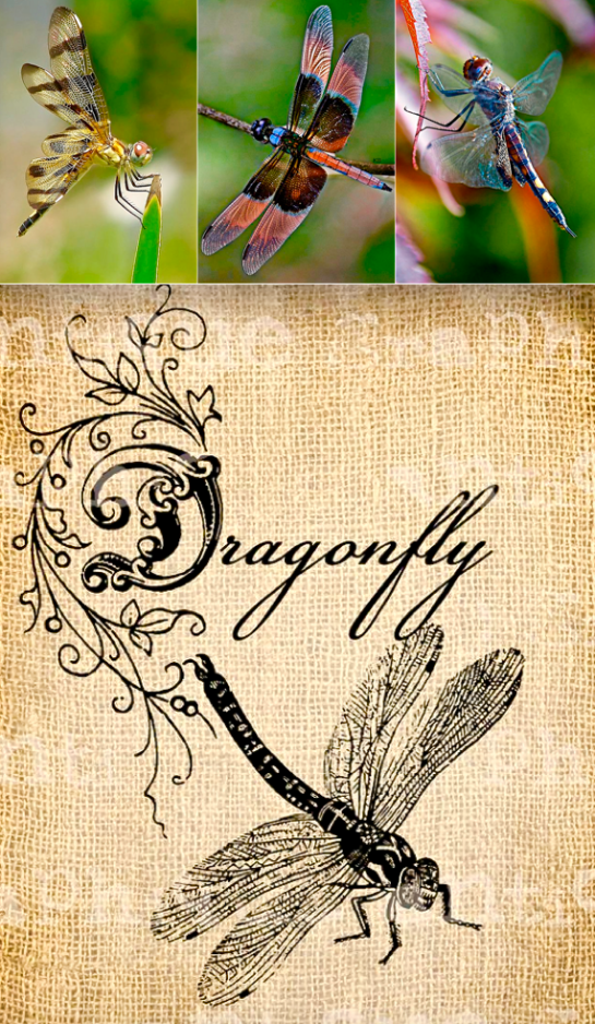 Screen Shot 2016-02-07 at 5.37.26 PM.png