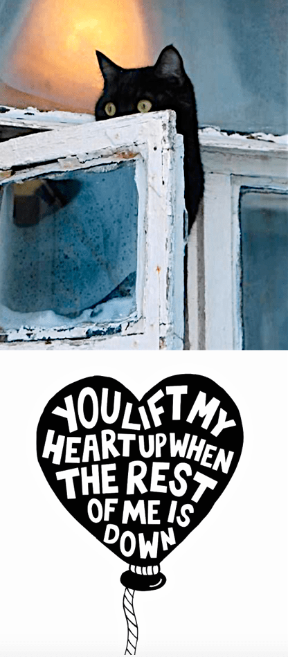 Screen Shot 2016-02-08 at 11.55.55 PM.png