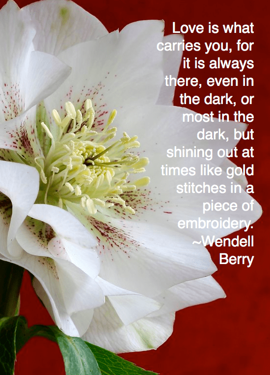 Screen Shot 2016-02-11 at 10.05.21 PM.png