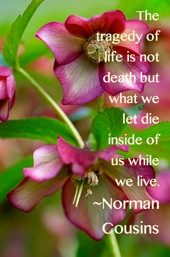 Screen Shot 2016-02-12 at 1.26.04 PM.png