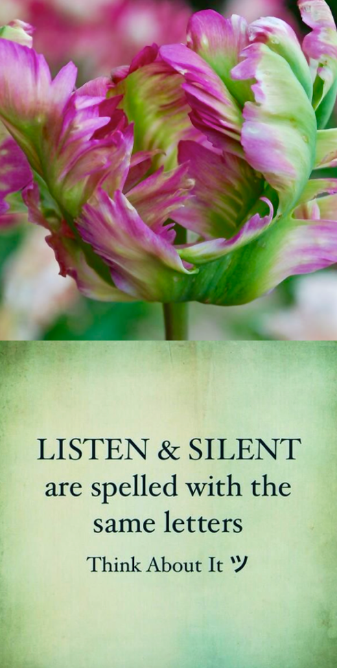 Screen Shot 2016-02-12 at 10.58.15 PM.png