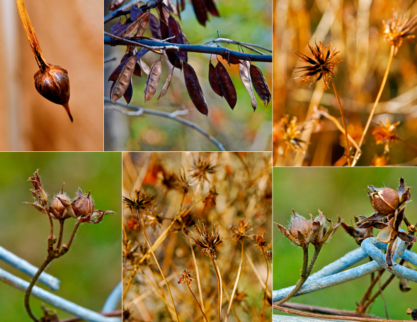 Screen Shot 2016-02-12 at 8.12.28 PM.png