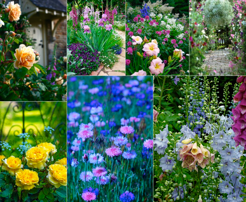 Screen Shot 2016-02-13 at 7.25.14 PM.png