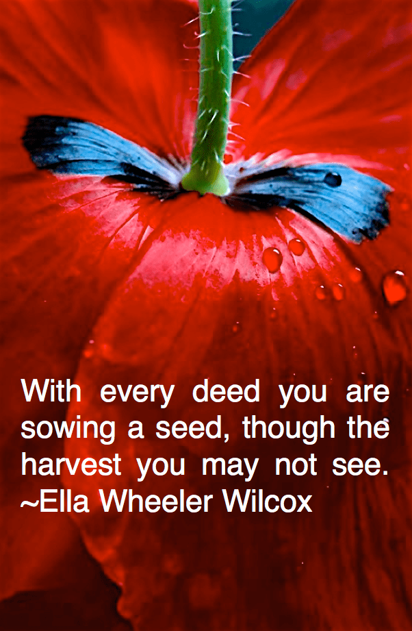 Screen Shot 2016-02-14 at 10.38.04 PM.png