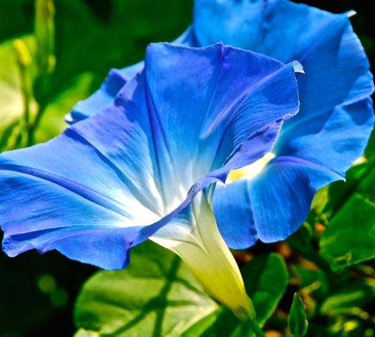 Screen Shot 2016-02-15 at 6.37.07 PM.png