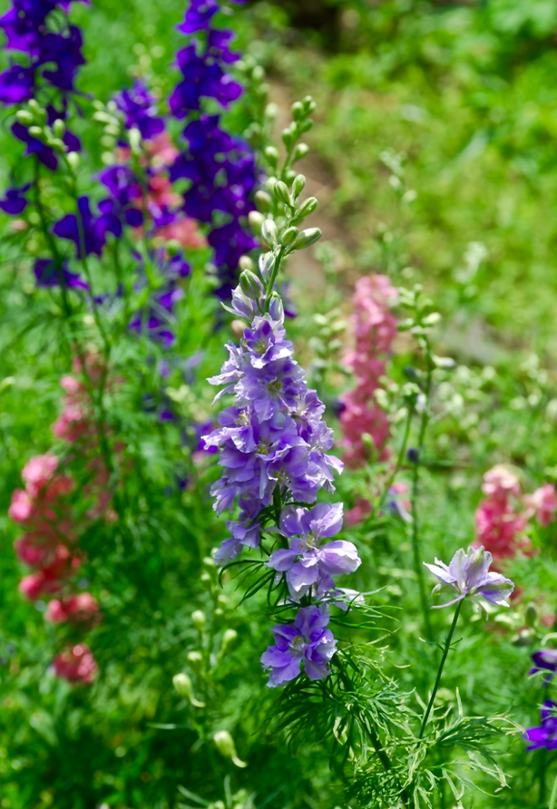 Screen Shot 2016-02-15 at 6.41.28 PM.png