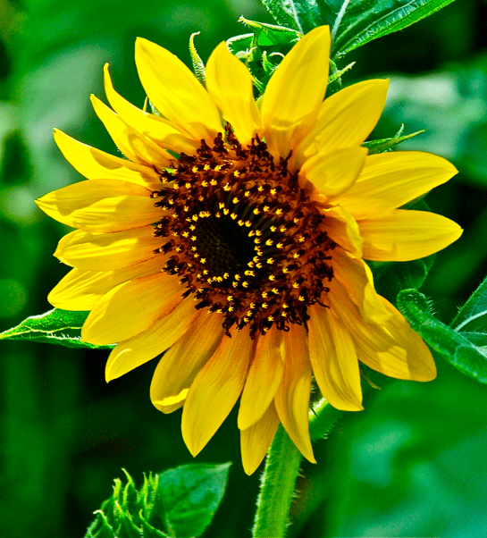 Screen Shot 2016-02-15 at 6.44.31 PM.png