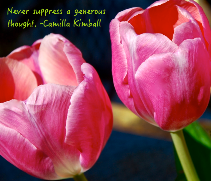 Screen Shot 2016-02-18 at 10.17.54 PM.png