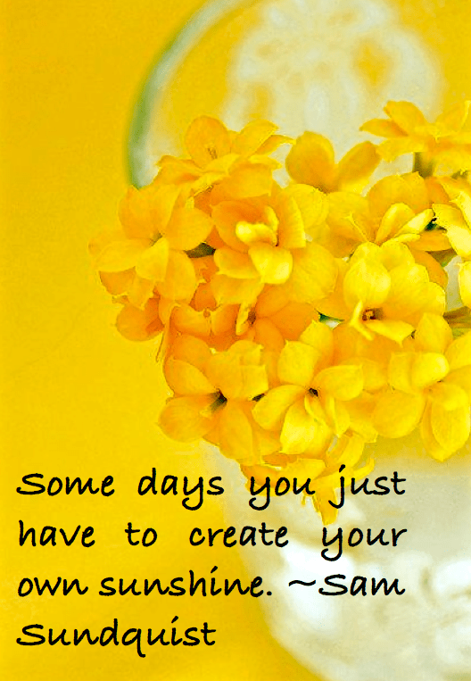 Screen Shot 2016-02-18 at 10.24.49 PM.png