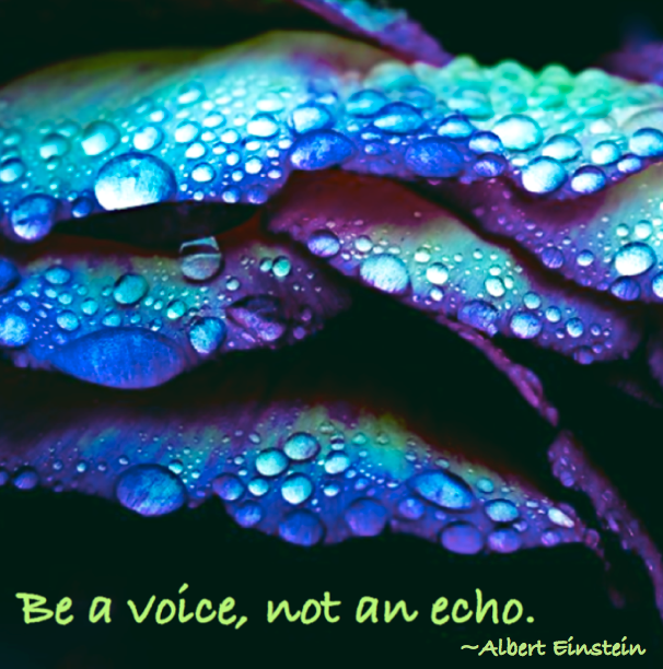 Screen Shot 2016-02-18 at 5.26.30 PM.png