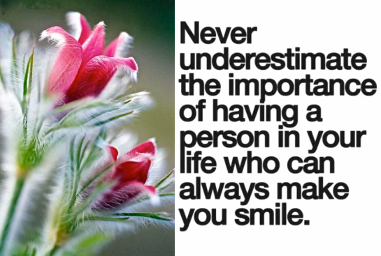 Screen Shot 2016-02-19 at 10.32.52 PM.png