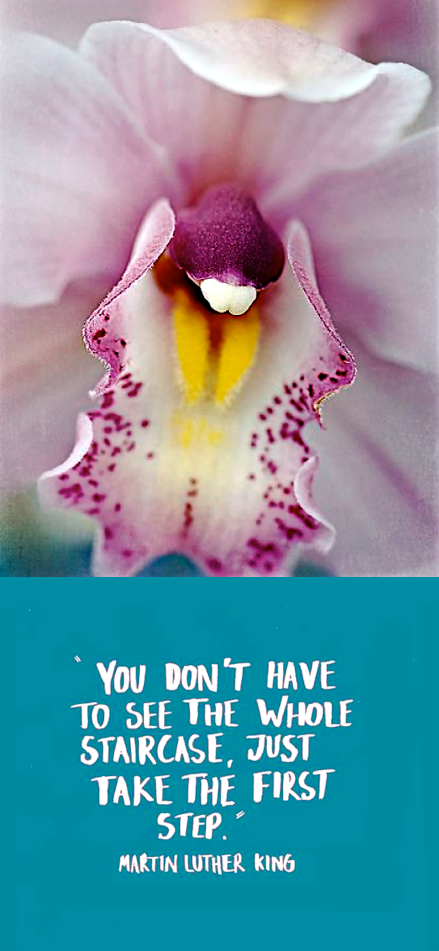 Screen Shot 2016-02-19 at 10.38.25 PM.png