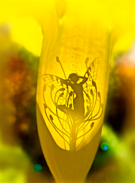 Screen Shot 2016-02-20 at 7.07.15 PM.png