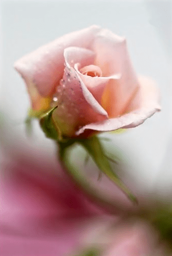 Screen Shot 2016-02-23 at 4.28.51 PM.png