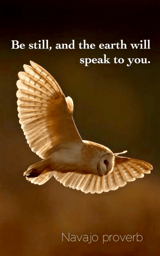 Screen Shot 2016-02-24 at 6.04.49 PM.png