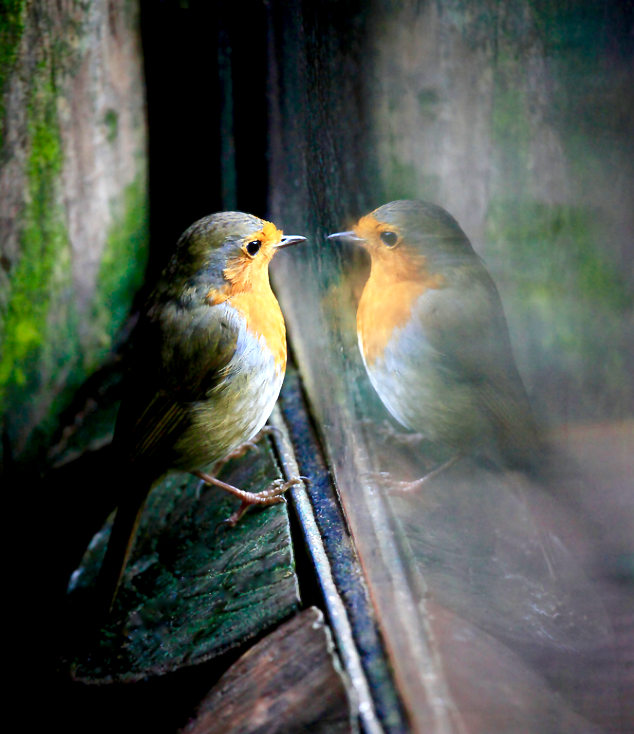 Screen Shot 2016-02-26 at 8.42.33 PM.png