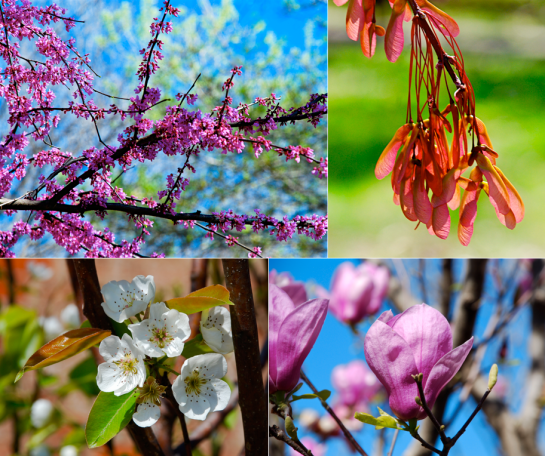 Screen Shot 2016-02-27 at 7.33.04 PM.png