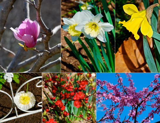 Screen Shot 2016-02-27 at 7.51.06 PM.png