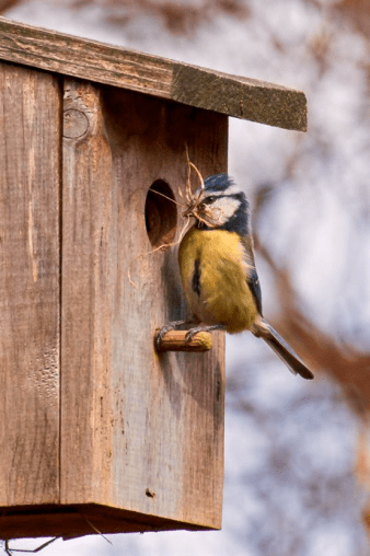 Screen Shot 2016-02-27 at 8.05.55 PM.png