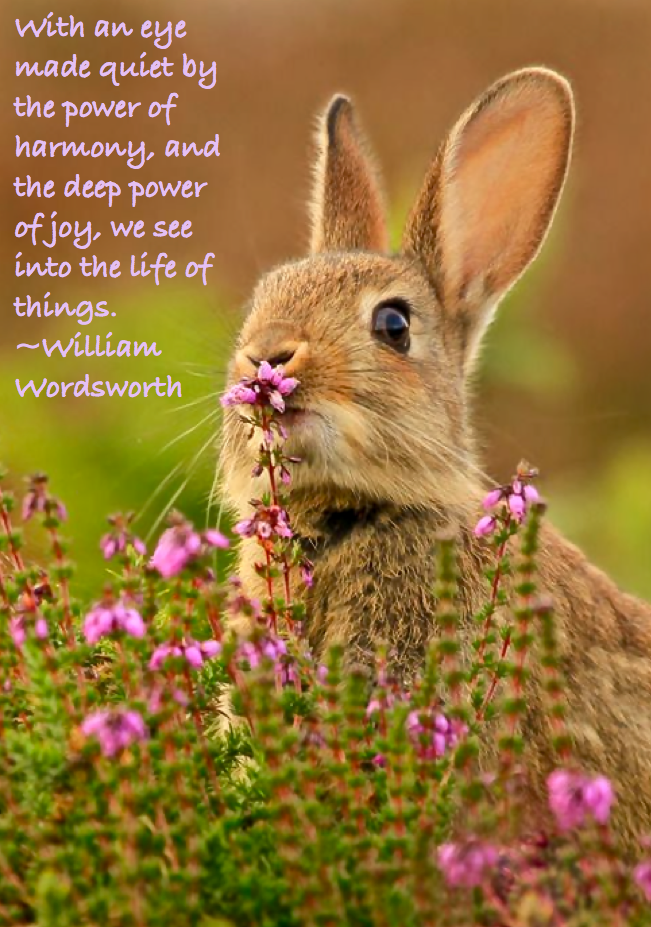 Screen Shot 2016-02-28 at 10.37.56 PM.png