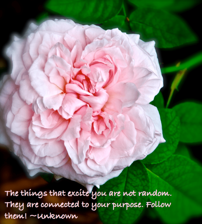 Screen Shot 2016-02-28 at 10.47.18 PM.png