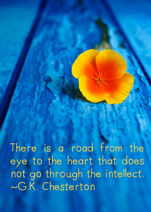 Screen Shot 2016-02-28 at 2.43.04 PM.png