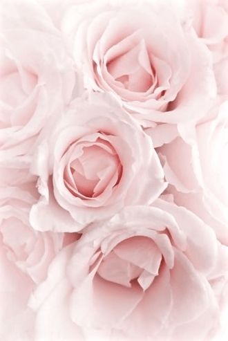 Screen Shot 2016-03-01 at 9.17.34 PM.png