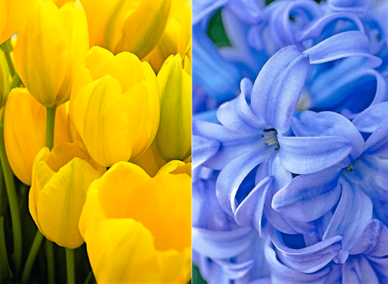 Screen Shot 2016-03-02 at 9.19.13 PM.png