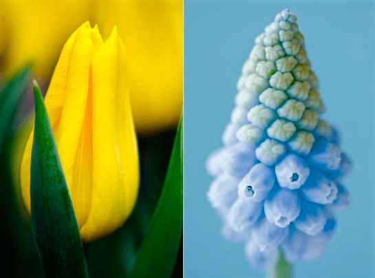 Screen Shot 2016-03-02 at 9.20.30 PM.png