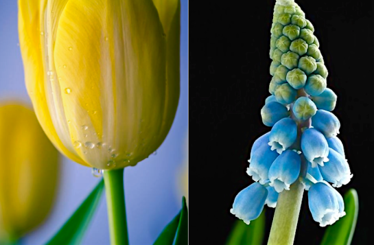 Screen Shot 2016-03-02 at 9.25.53 PM.png