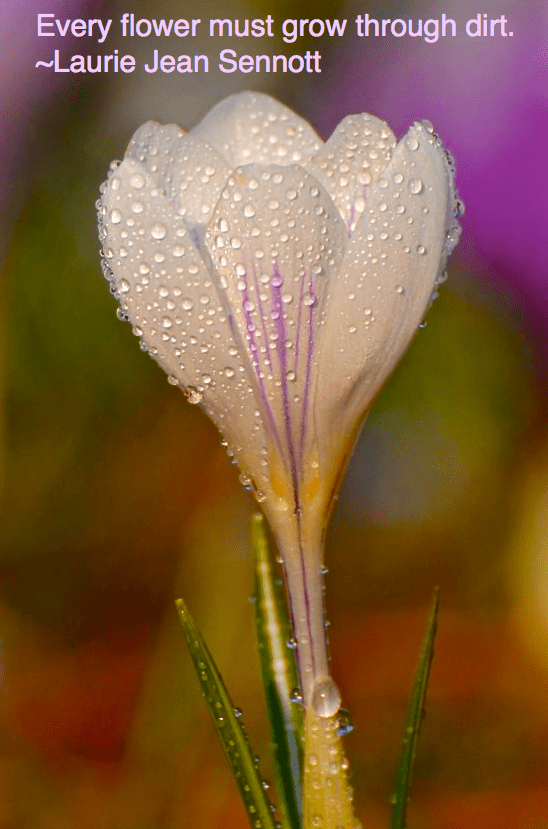 Screen Shot 2016-03-03 at 9.42.47 AM.png