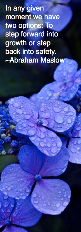 Screen Shot 2016-03-03 at 9.47.07 AM.png