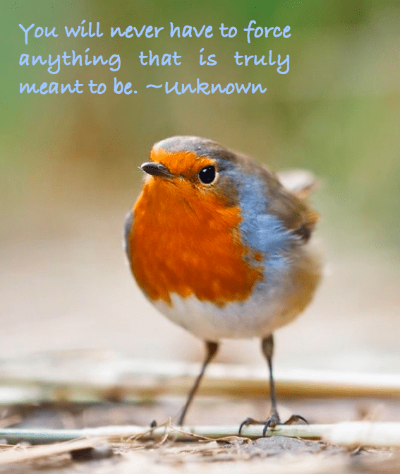 Screen Shot 2016-03-07 at 10.44.26 PM.png