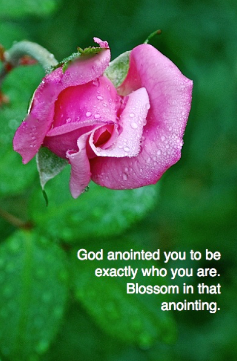 Screen Shot 2016-03-07 at 11.11.09 AM.png