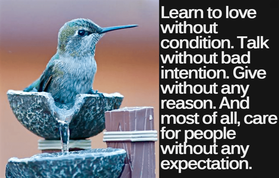 Screen Shot 2016-03-07 at 8.14.30 AM.png