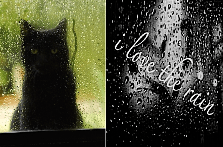 Screen Shot 2016-03-08 at 8.41.29 AM.png