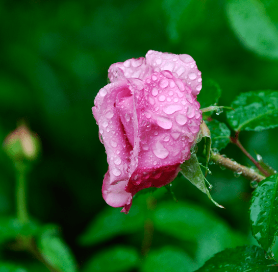 Screen Shot 2016-03-09 at 8.02.21 PM.png