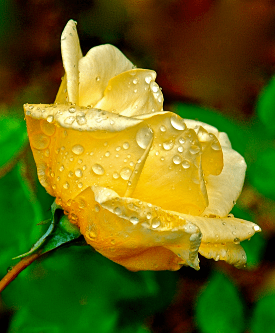 Screen Shot 2016-03-09 at 8.25.58 PM.png