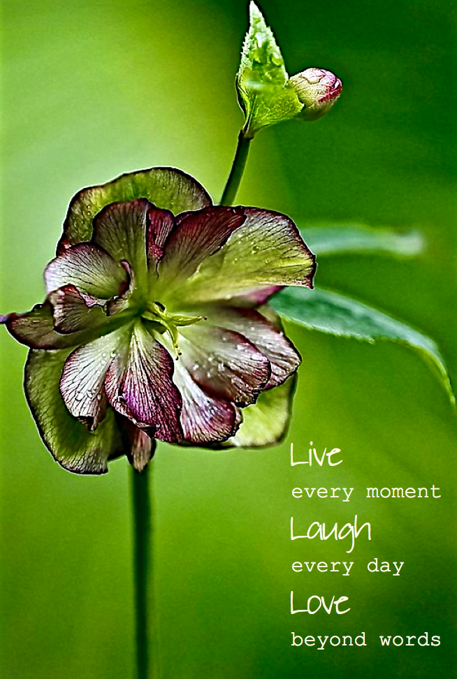 Screen Shot 2016-03-09 at 9.46.30 PM.png