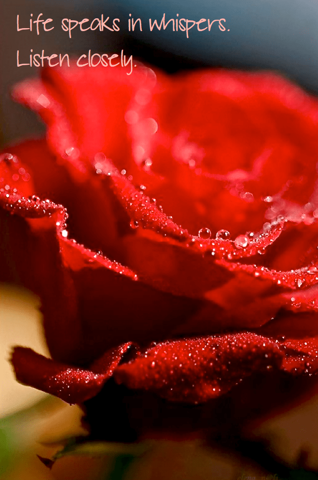 Screen Shot 2016-03-09 at 9.51.55 PM.png