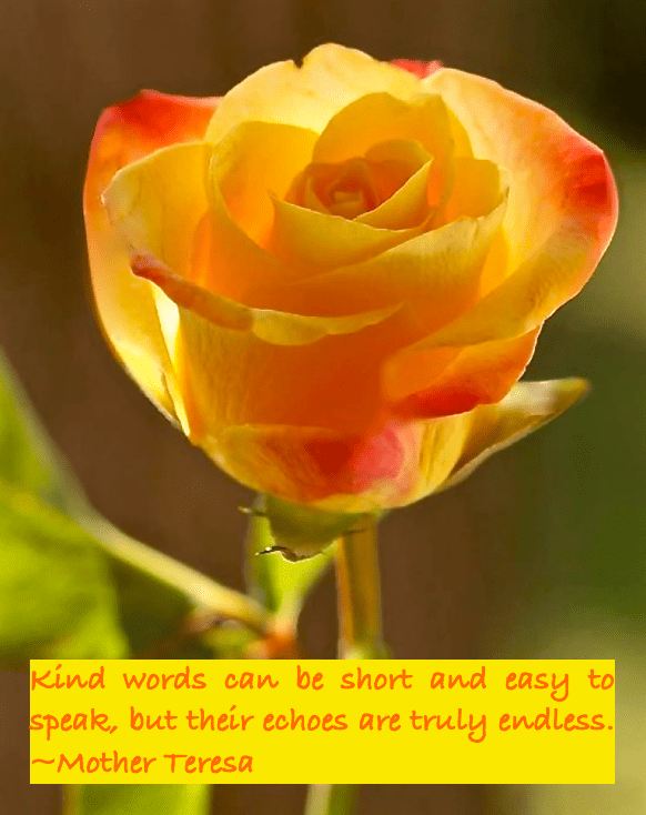 Screen Shot 2016-03-10 at 11.01.14 PM.png