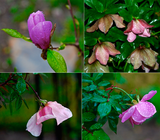 Screen Shot 2016-03-10 at 8.45.59 PM.png