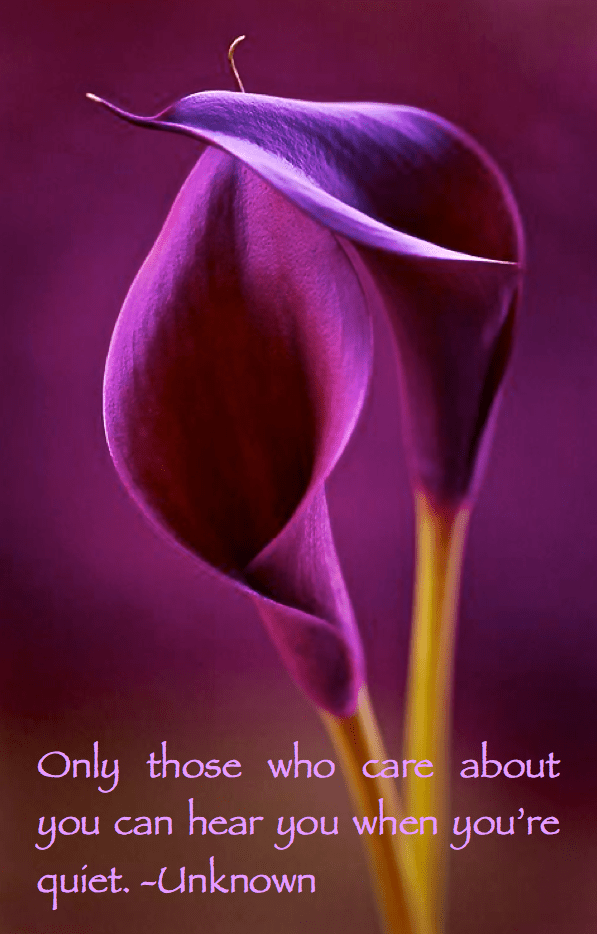 Screen Shot 2016-03-12 at 10.36.56 PM.png