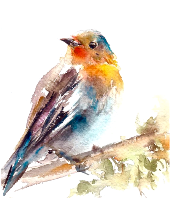 Screen Shot 2016-03-13 at 6.49.27 PM.png