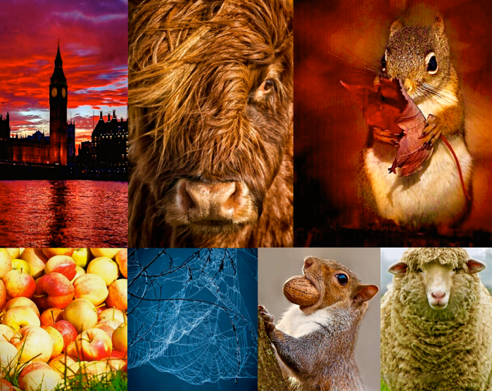 Screen Shot 2016-03-19 at 9.28.31 PM.png