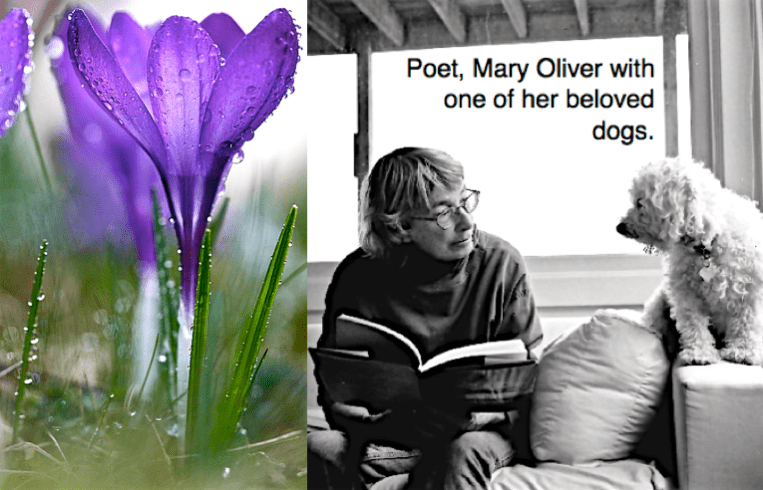 Screen Shot 2016-03-21 at 6.05.20 PM.png