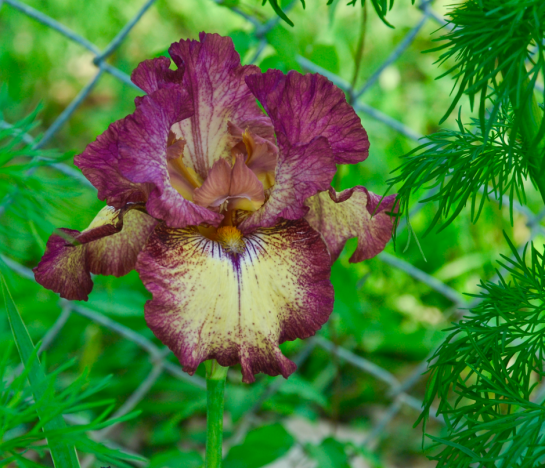 Screen Shot 2016-03-23 at 9.04.47 PM.png