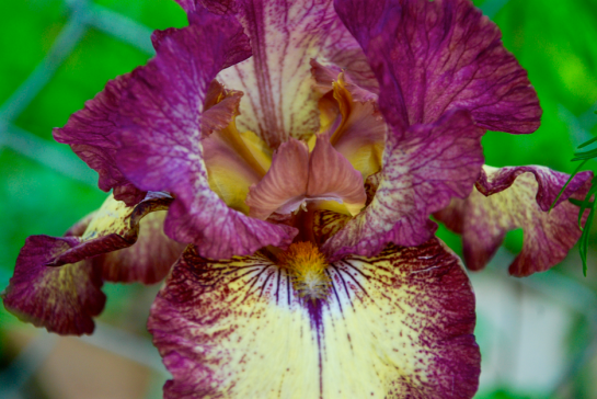 Screen Shot 2016-03-24 at 7.48.14 PM.png