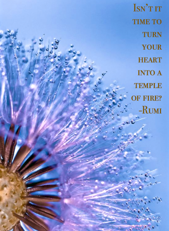 Screen Shot 2016-03-25 at 10.35.53 PM.png